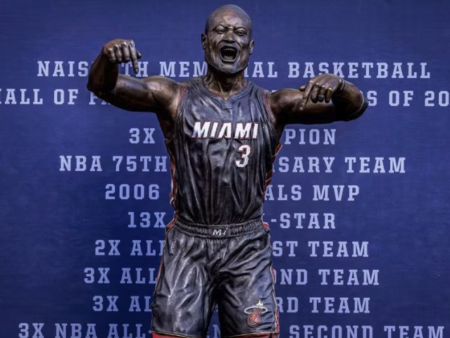 La statua di Dwyane Wade suscita battute: “Chi è questo tizio?”